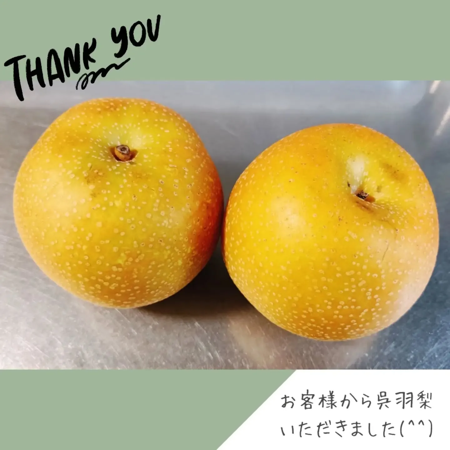 先日、お客様から立派な呉羽梨(幸水)をいただきました🍐✨️